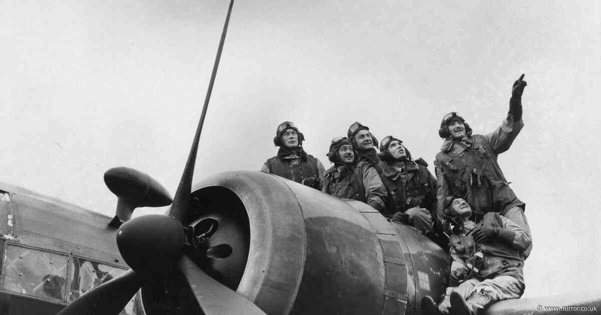 VE Day: 'My Polish grandad woke up with night terrors after WW2 - he chose to come to Britain to keep fighting'