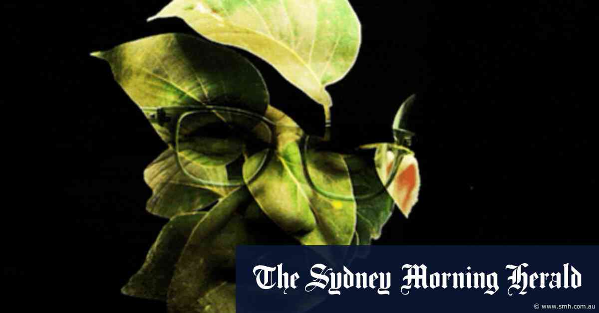 How the war between ‘watermelons’ and ‘tree-Tories’ brought down the Greens