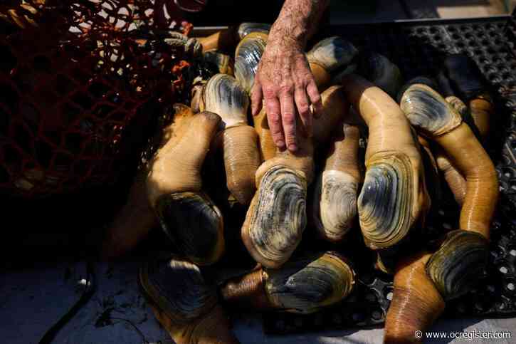 How a Chinese delicacy got caught in the crossfire of Trump’s trade war