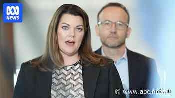Search for new Greens leader begins ahead of partyroom vote next week