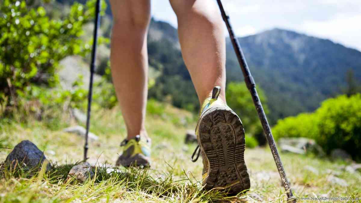 Nach Vorwürfen: AfD-Mann aus dem Harz darf im Wanderverein bleiben