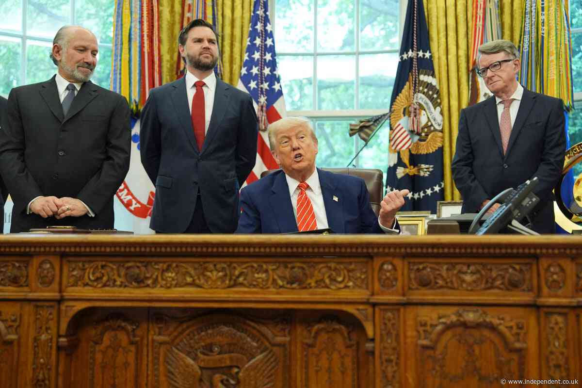 Trump’s ‘concepts of a plan’ trade deal with the United Kingdom won’t save him