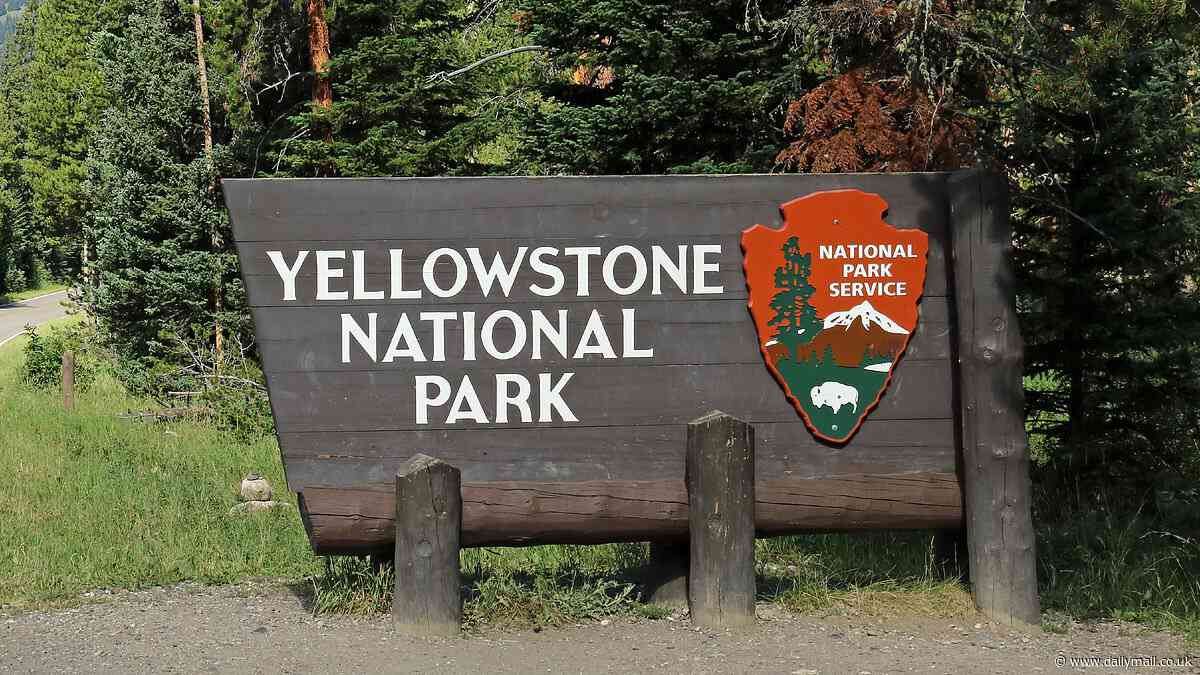 Reckless tourist becomes latest victim of marauding beast in Yellowstone National Park