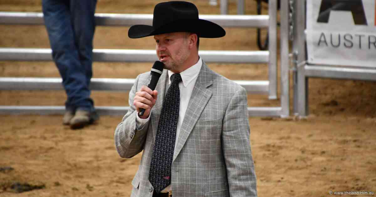 Why balancing beef productivity with health, resilience traits may be crucial