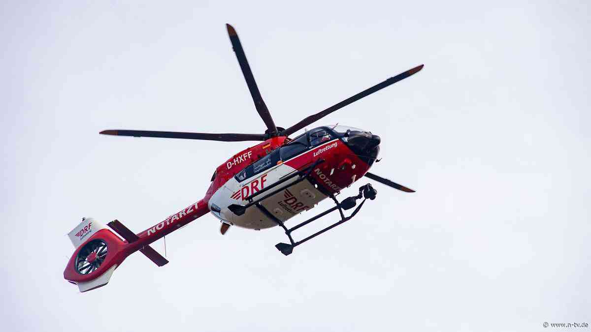 Unfall in Brandenburg: Auto prallt gegen Baum: Baby und Teenager sterben