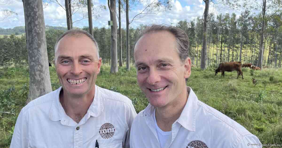Carbon and nature repair take a new look at farm diversity, sustainability