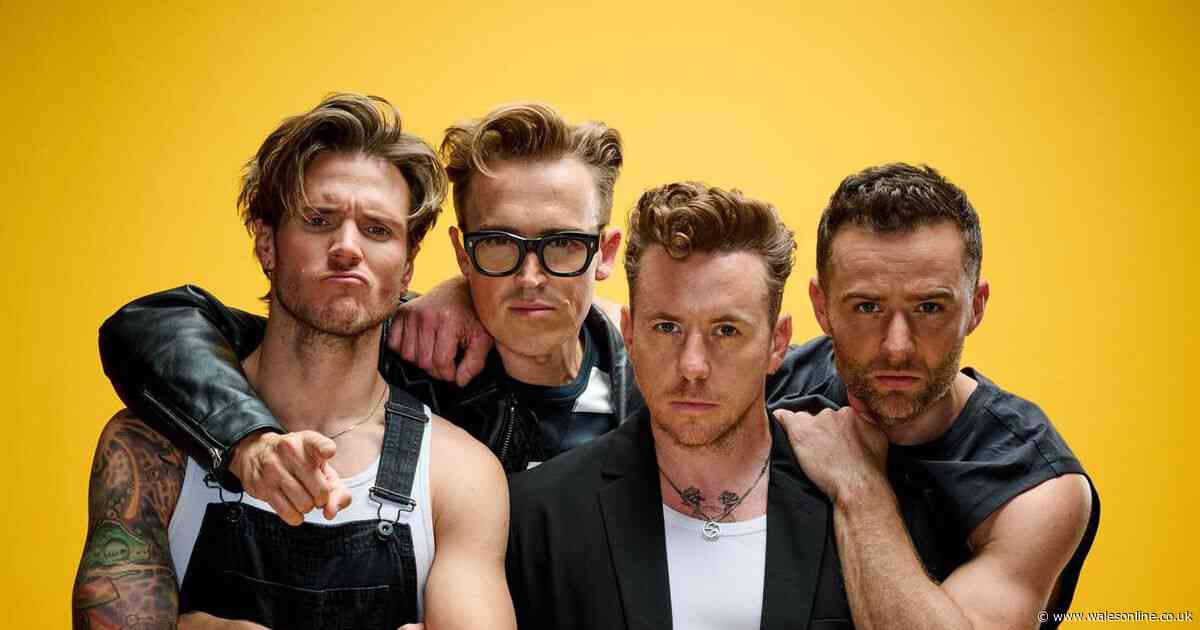 McFly praise fan who 'stole the show' at Swansea gig and tell him 'he's in'