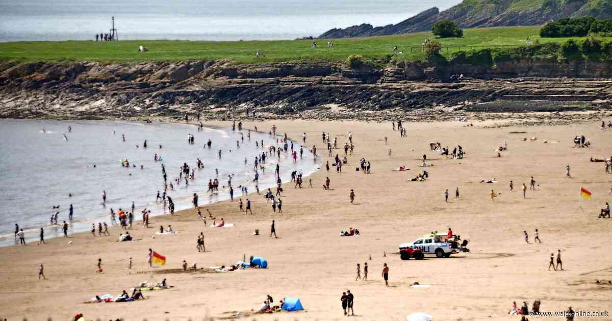 You can get helicopter rides around Cardiff and the Welsh coast this summer for less than £50