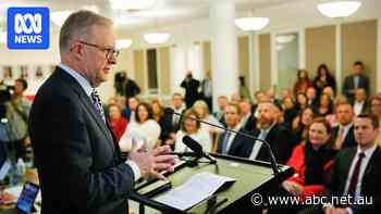 Live: Labor caucus to meet as fallout from Husic, Dreyfus axing continues