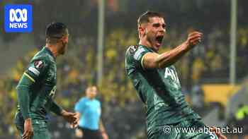 Postecoglou's Spurs power their way into Europa League final