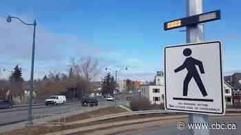 City asks for urgent $1M as Calgary pedestrian deaths increased 225% last year