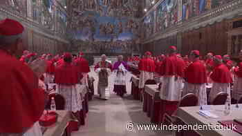 Watch how cardinals celebrated Pope Leo XIV being chosen in rare Conclave video