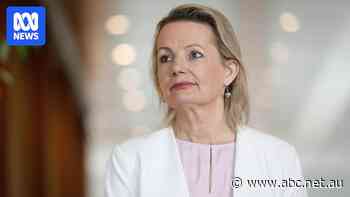 Live: Sussan Ley says she is putting herself forward to be Liberal party leader