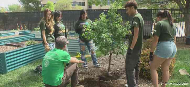 Albuquerque high school students participate in tree planting