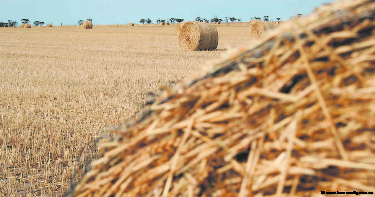 Hay worker suffered fracture and a degloving injury - prompting $595,000 fine