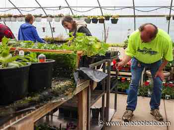More than just a paycheck at Sunshine’s greenhouse