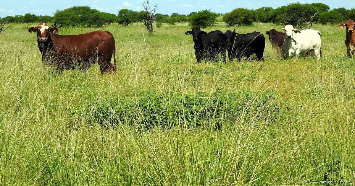Productive Mugwee on the market with abundant grass and excellent waters