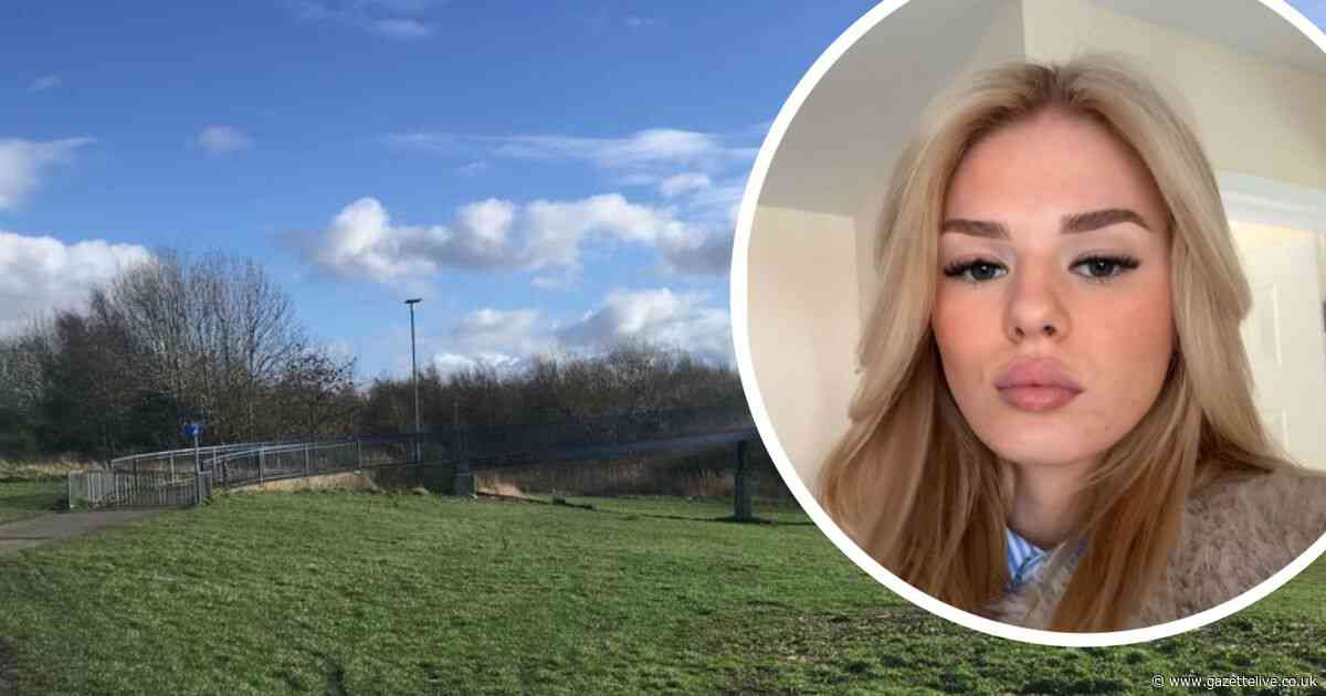 Teen in agony after terrifying dog attack in Marton left her covered in blood with puncture wound
