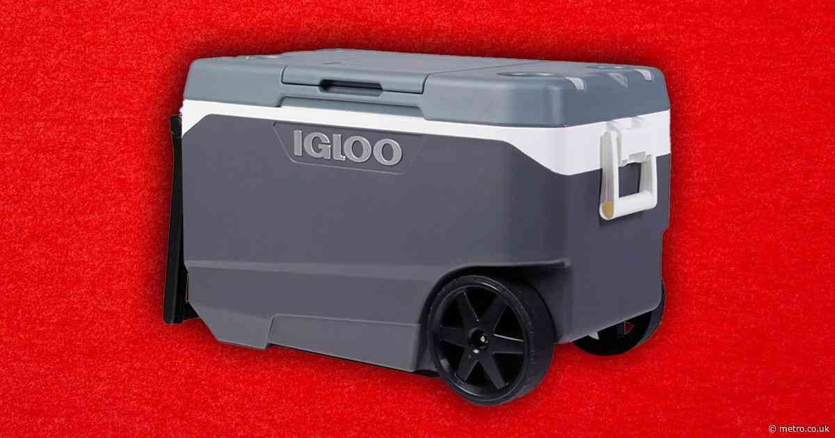 Urgent recall for nearly 1,200,000 cool boxes in US over fingertip amputation injuries