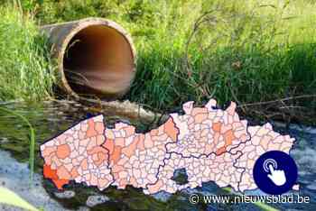 KAART. Zoveel huizen in jouw gemeente lozen hun afvalwater nog rechtstreeks in de natuur