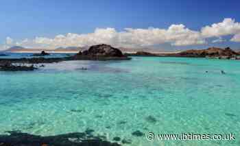 Brits Flock to 'Hawaii of Europe': Fuerteventura Offers Luxury for Less Than £100 Flights