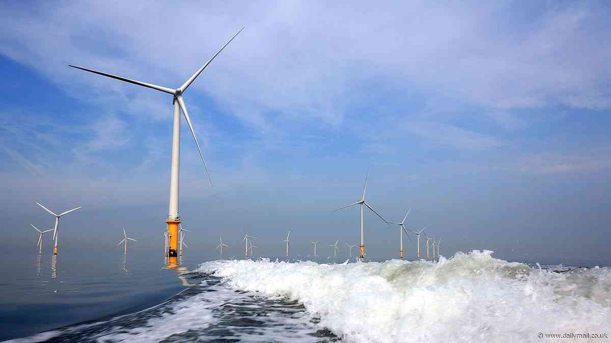 Mystery as man's body found near offshore wind farm: Police probing 'unexplained' death