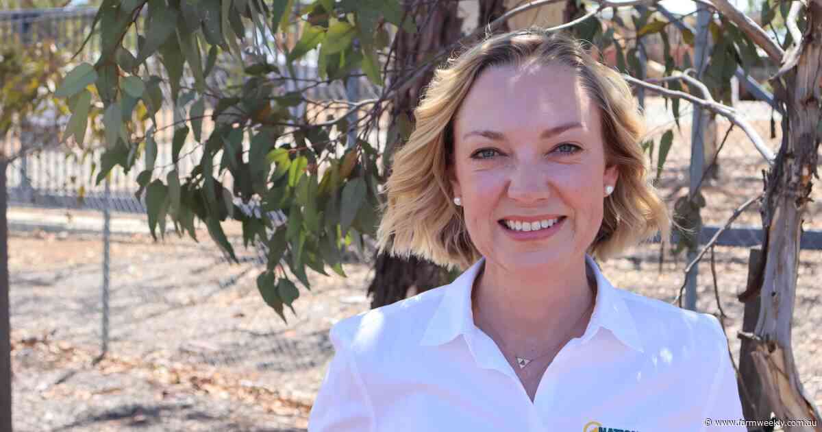 "This wasn't the election to sit on the sidelines" says Bullwinkel candidate