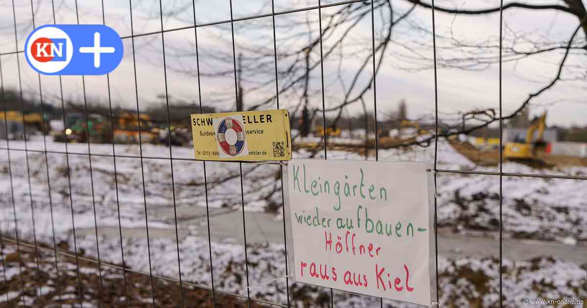 Ausstellung in Kiel: Kleingarten-Streit um Möbel Höffner ist jetzt Kunst