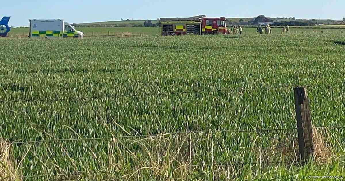 Pilot dies and passenger fighting for his life after aircraft crashes in Scottish field
