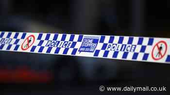 Child is rushed to hospital after suffering life-threatening injuries - as police descend on suburban home
