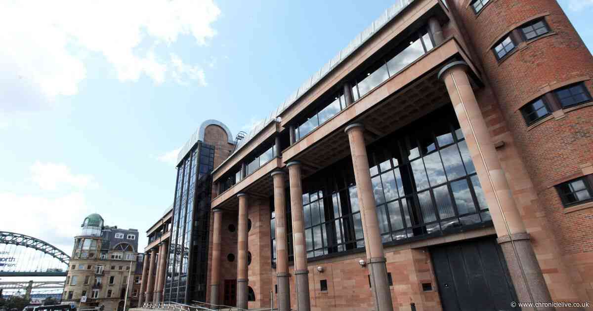 Newcastle woman avoids jail after 'mummified' dogs found in home