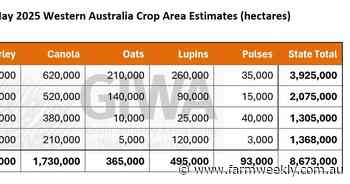 Persistent dry conditions in the top third of the State sees a drop in hectares