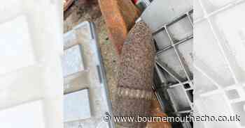 WWII explosive found at Dorset scrapyard