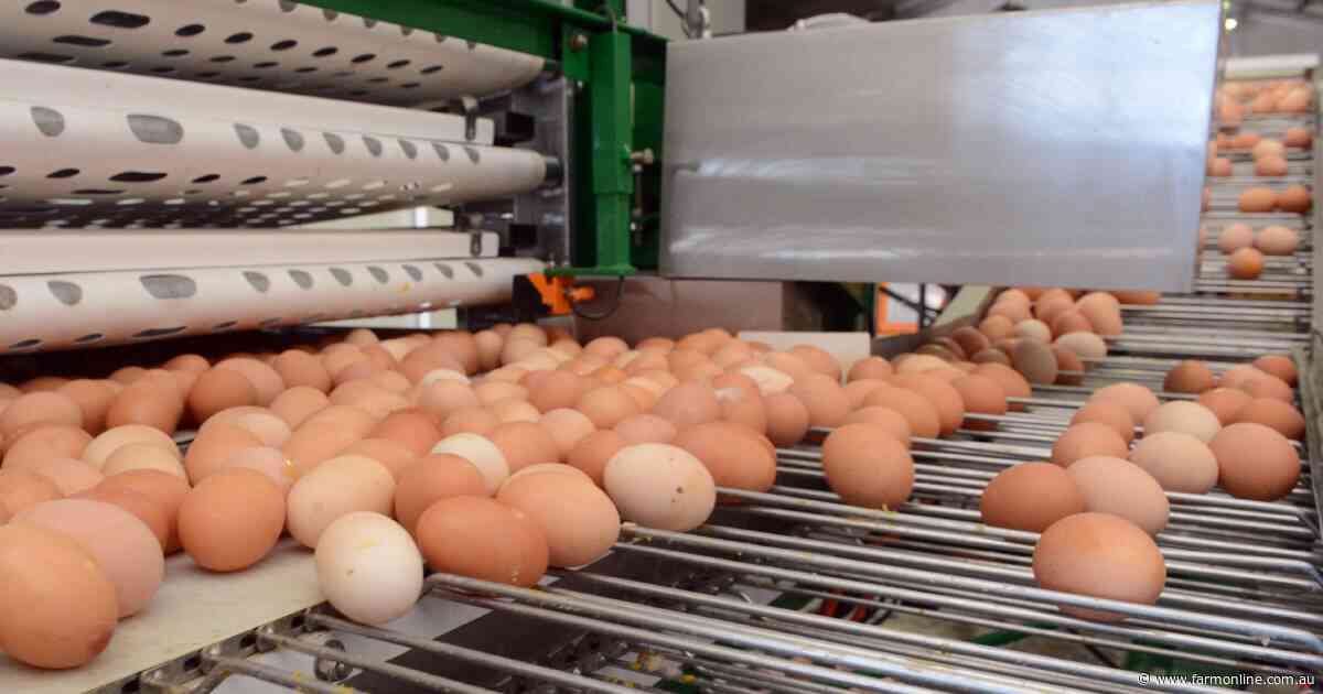 Agribusiness buzz in brief: Farm Pride rebound, beef bites Tyson Foods, Super scam