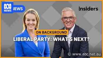 How does the Liberal Party rebuild? || On Background