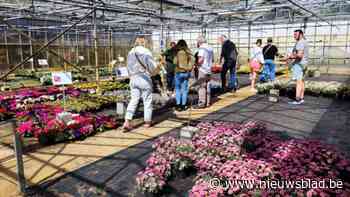 Plantendagen Berkenbeek: meer dan tienduizend planten en bloemen gekweekt door leerlingen
