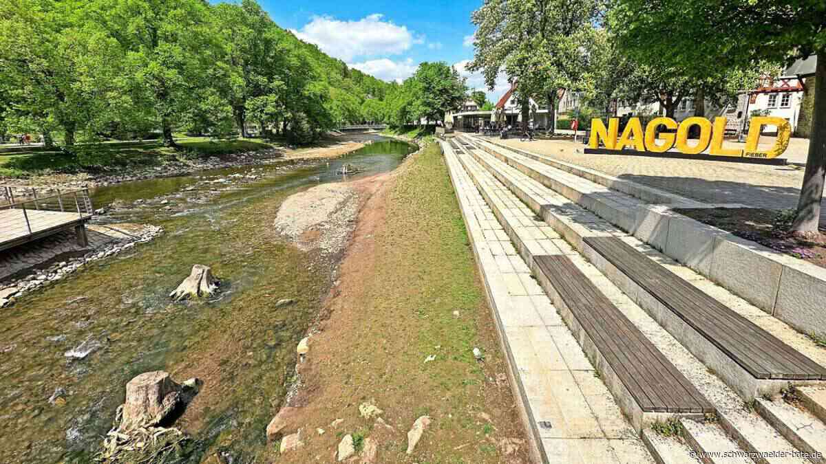 Mehr Rinnsal als Fluss: Das    Nagoldwasser   bleibt abgelassen – warum?