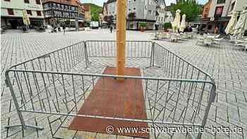 Hinter Gittern: Ein Zaun für Nagolds Maibaum