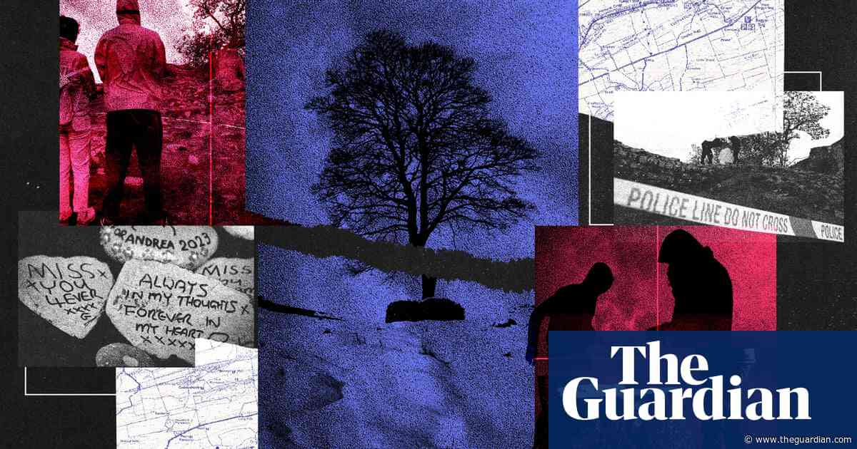 ‘Stealing joy’: the sadness and symbolism of the crime at Sycamore Gap