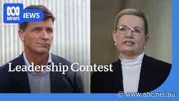 Liberal leadership becomes two-horse race
