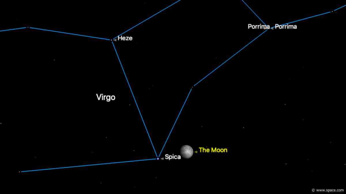 Watch the moon and bright star Spica meet in a celestial dance on May 9