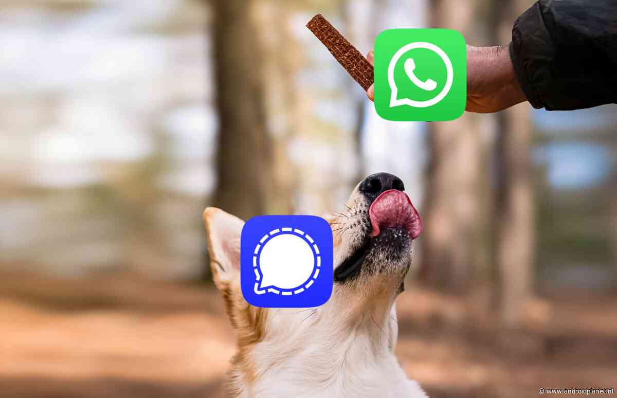 Op deze manieren probeert WhatsApp Signal-gebruikers terug te lokken