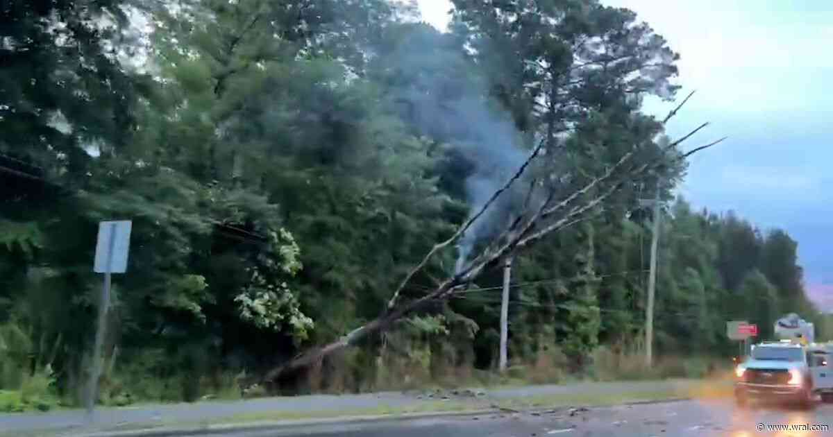Hundreds lose power in Durham after tree falls onto power lines