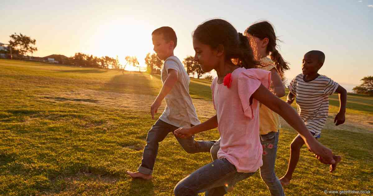 Findings on how to boost holiday programme with booking system 'not fit for purpose'