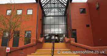 Man, 22, urged vulnerable woman he met online to kill herself