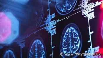 Mysterious explosion of brain diseases in rural city takes shocking twist