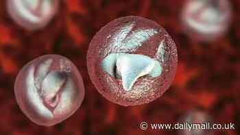 New alert over outbreak of gruesome parasite that causes 'bowel cancer-like' symptoms as victim toll rises to 74