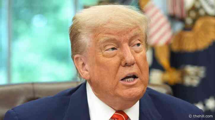Trump: Biden high-speed internet program 'racist,' 'unconstitutional'