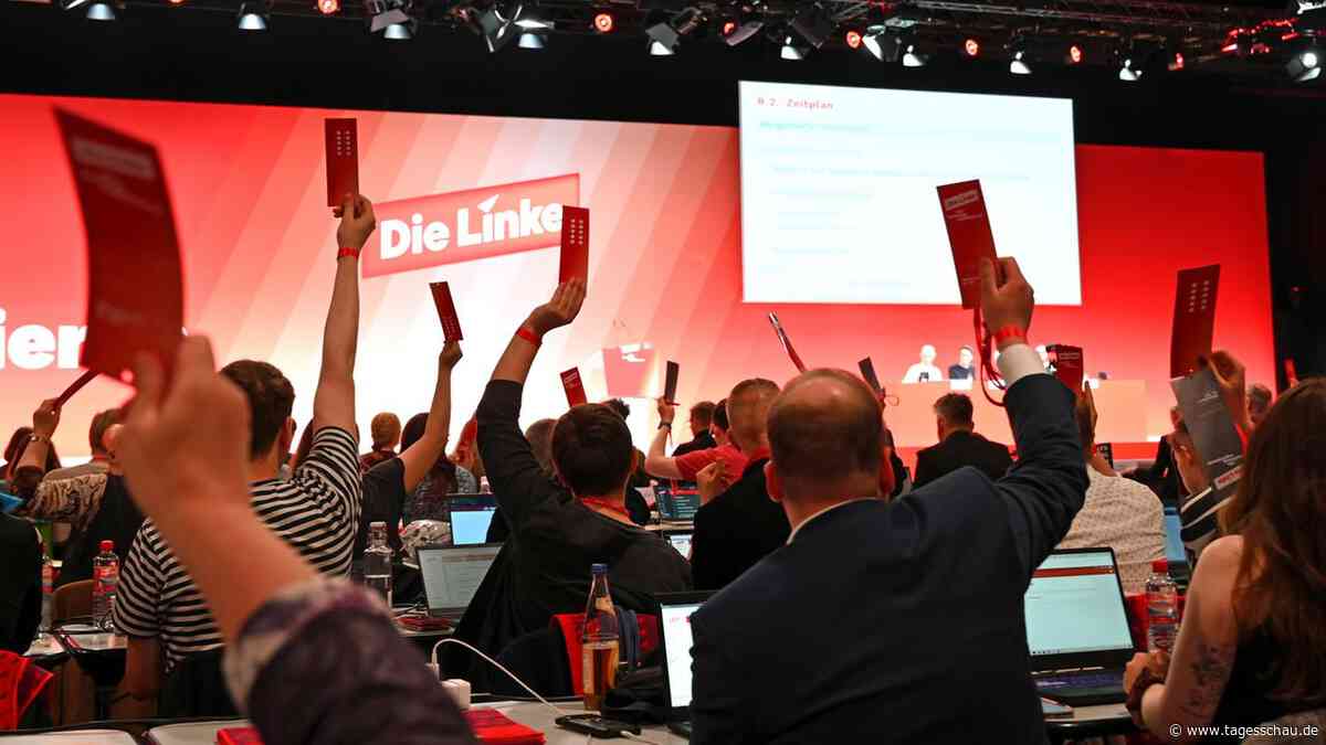 Linke debattiert über "Diätendeckel"