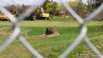 Part of this Burlington, Ont., golf course is becoming housing — cutting down 425 trees in the process